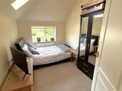 Picture 8